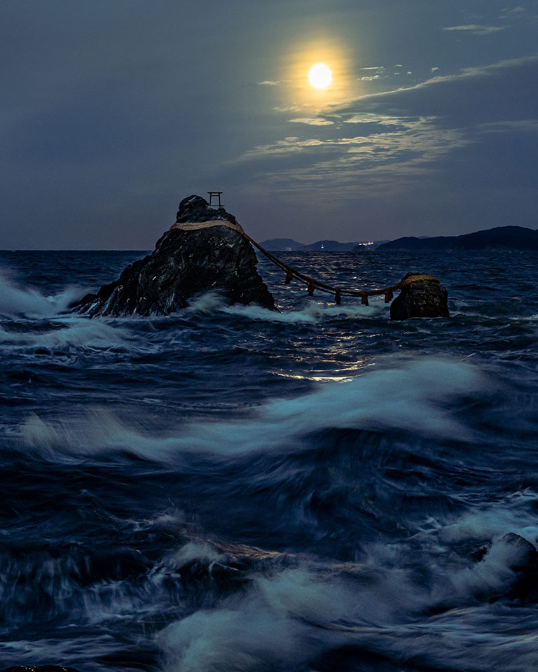 入選　徳田夕美（＠studio_sunset_sea）さんの作品「月夜のダンス」